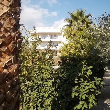 Large Ground Floor 2 Bedrooms American Academy Cy Lägenhet *